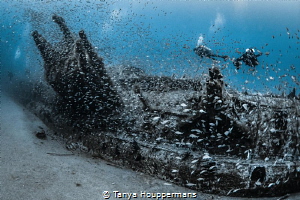   Refuge U352 off coast North Carolina home thousands fish congregate around wreck  